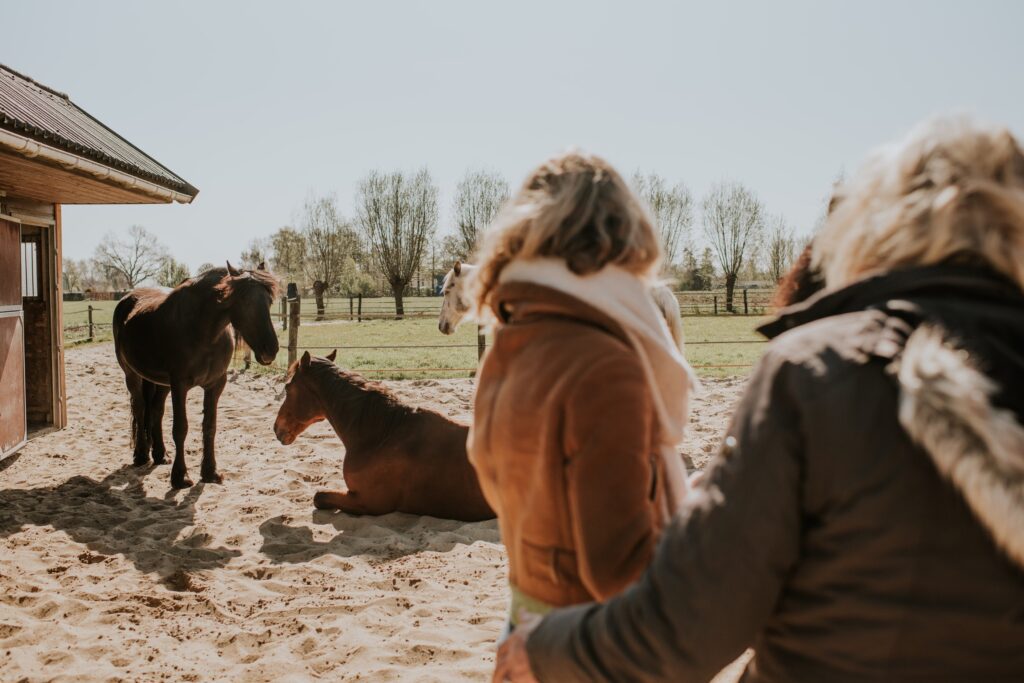 18417293-F717-40D5-B491-60ACBF13A7F3