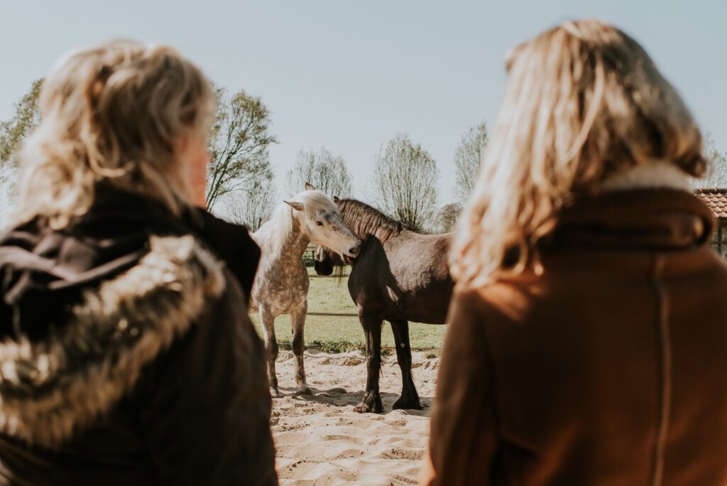 578678B8-7FD1-4C17-B891-D3354F7B89C4