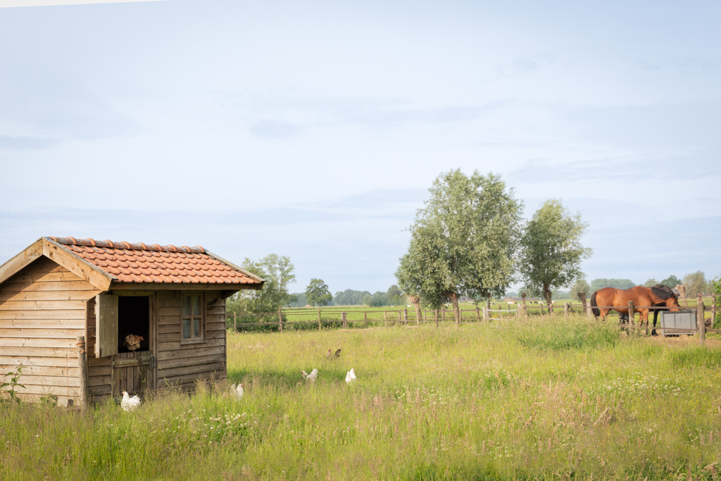 AKF zakelijk Mens & Paard-0483-bewerkt-bewerkt