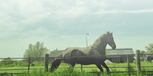 Achtergrond afbeelding